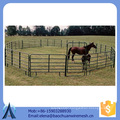 hot sales tall horse entrance panel